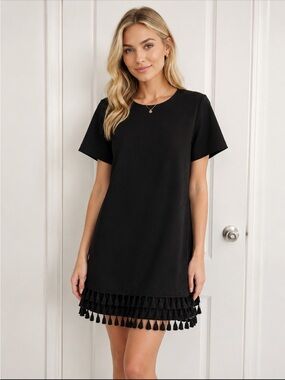 Zara Black Sheath Mini Dress with 3 rows of tassels at hem size Medium